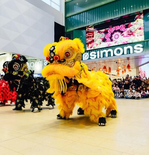 Chinese lion dance performance in Yorkdale mall with crowd of spectators