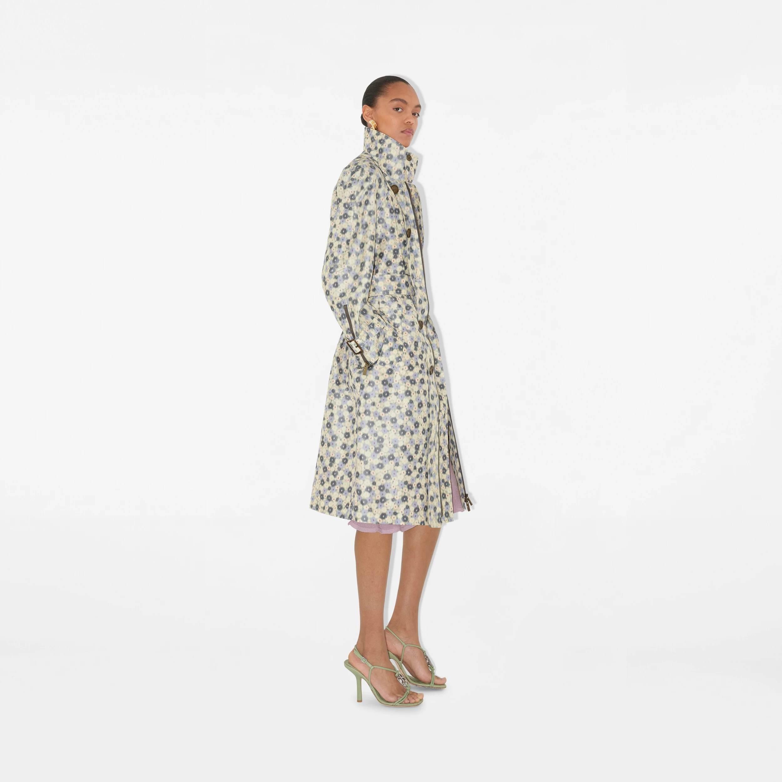 Fanciful Florals