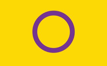 Intersex pride flag