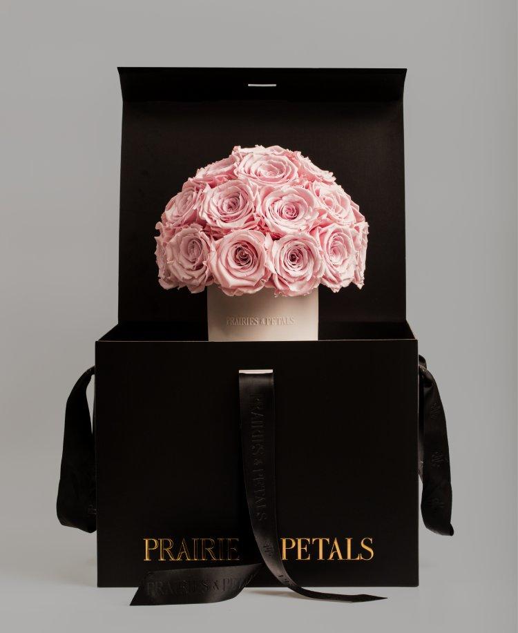 Prairies petals blooms