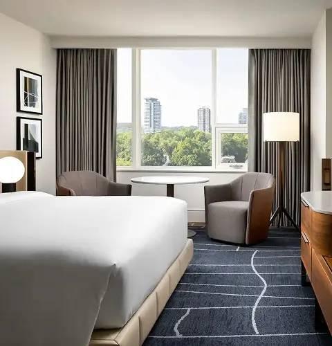Elegant hotel room with king bed, seating area, and tree views through large windows