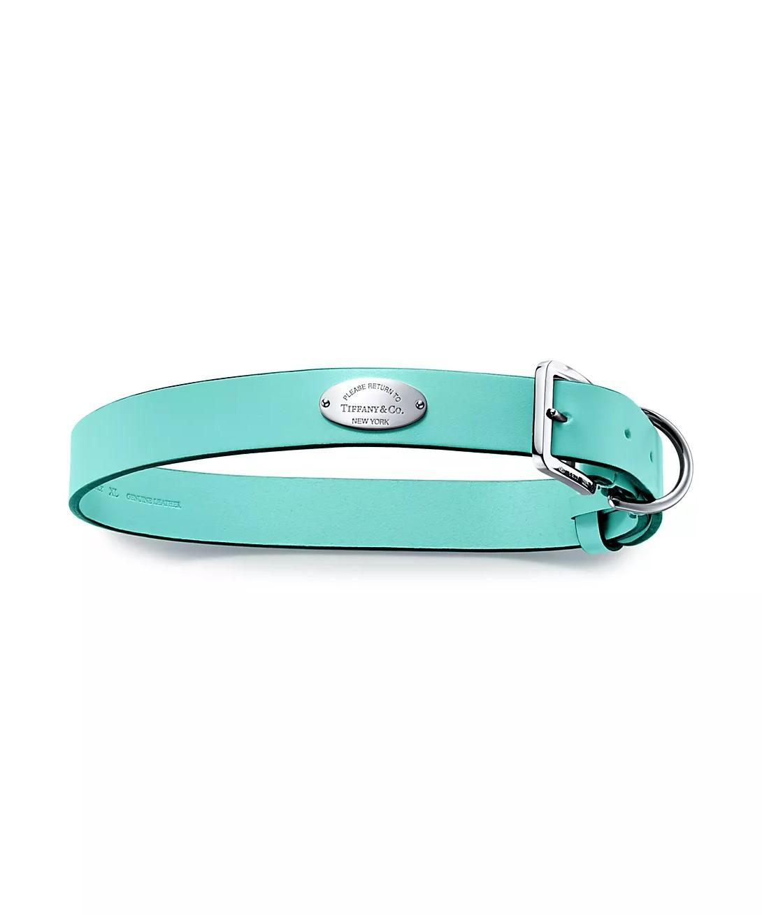 Tiffany pet collar
