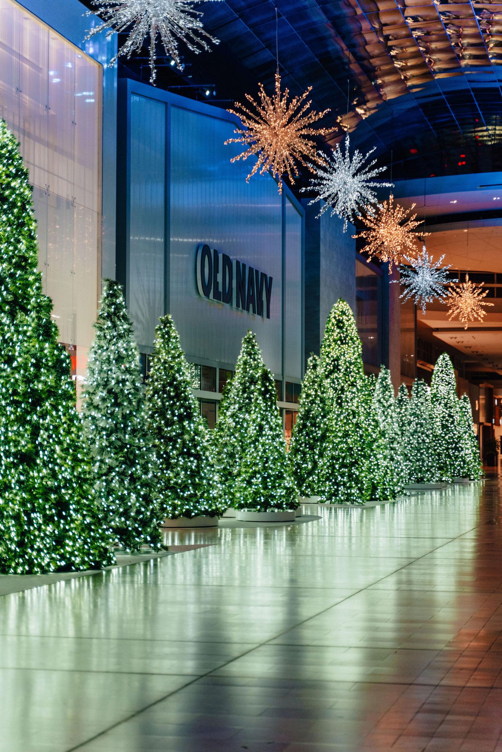 Enchanted Evergreen Walk