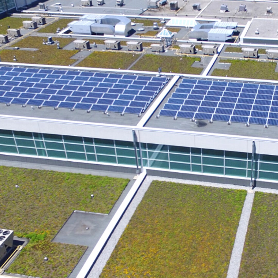 Solar Panels & Green Roofs