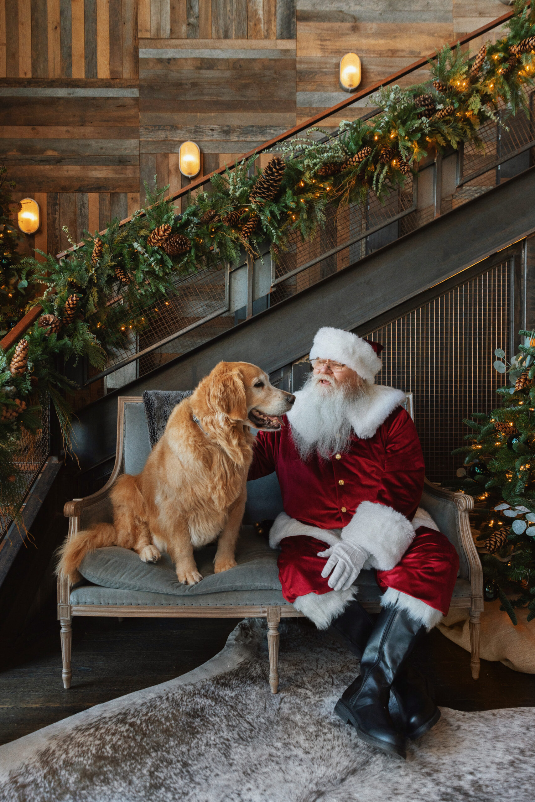 Image of a golden retriever and Santa at the Yorkdale pet photo studio.