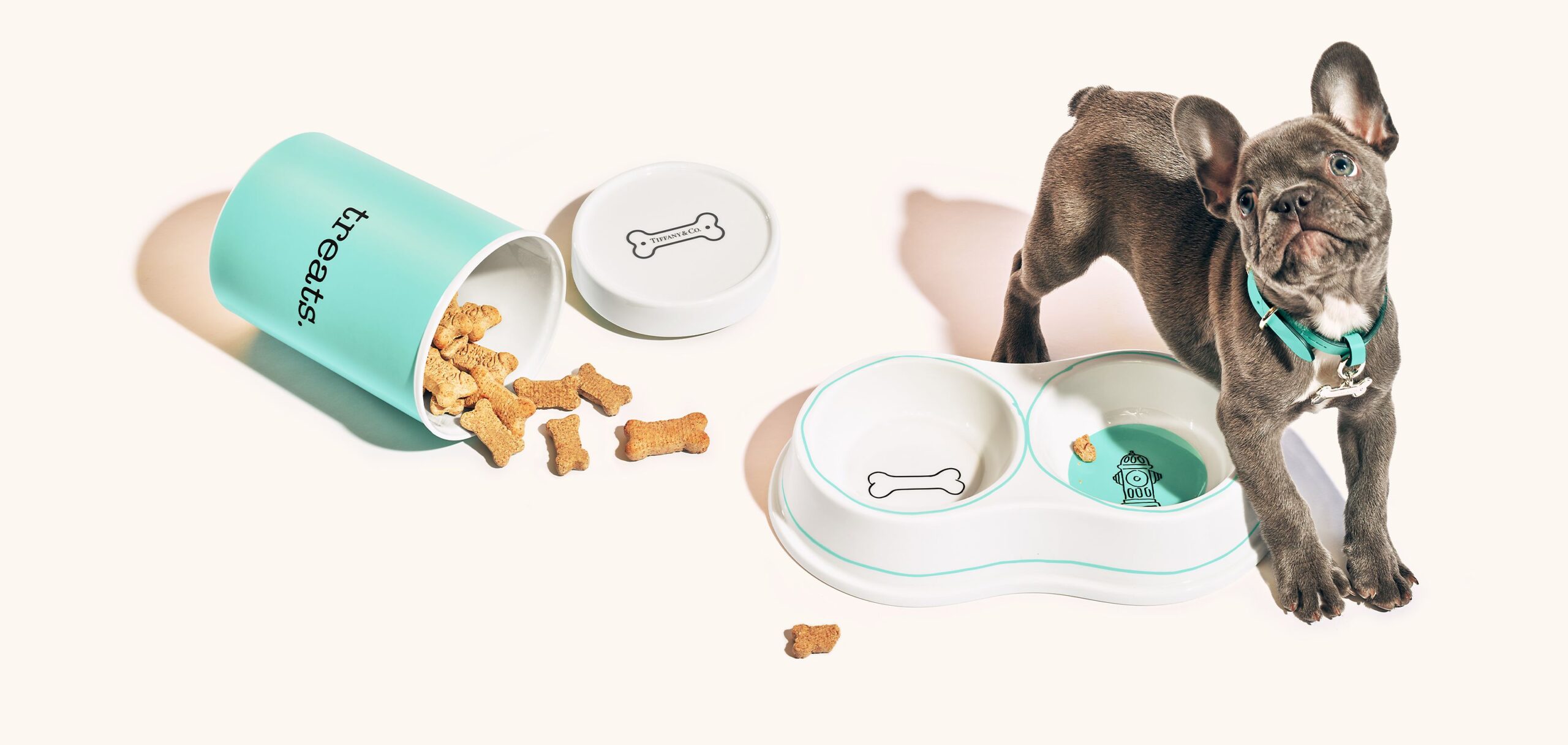 Image of a black French bulldog puppy wearing a blue Tiffany & Co. collar. Beside him is a blue and white Tiffany & Co. dog bowl and a blue treats jar with dog treats spilling out.
