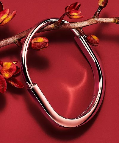 Image of a rose gold Tiffany & Co. lock bracelet hanging off a faux tree branch on a red backdrop.