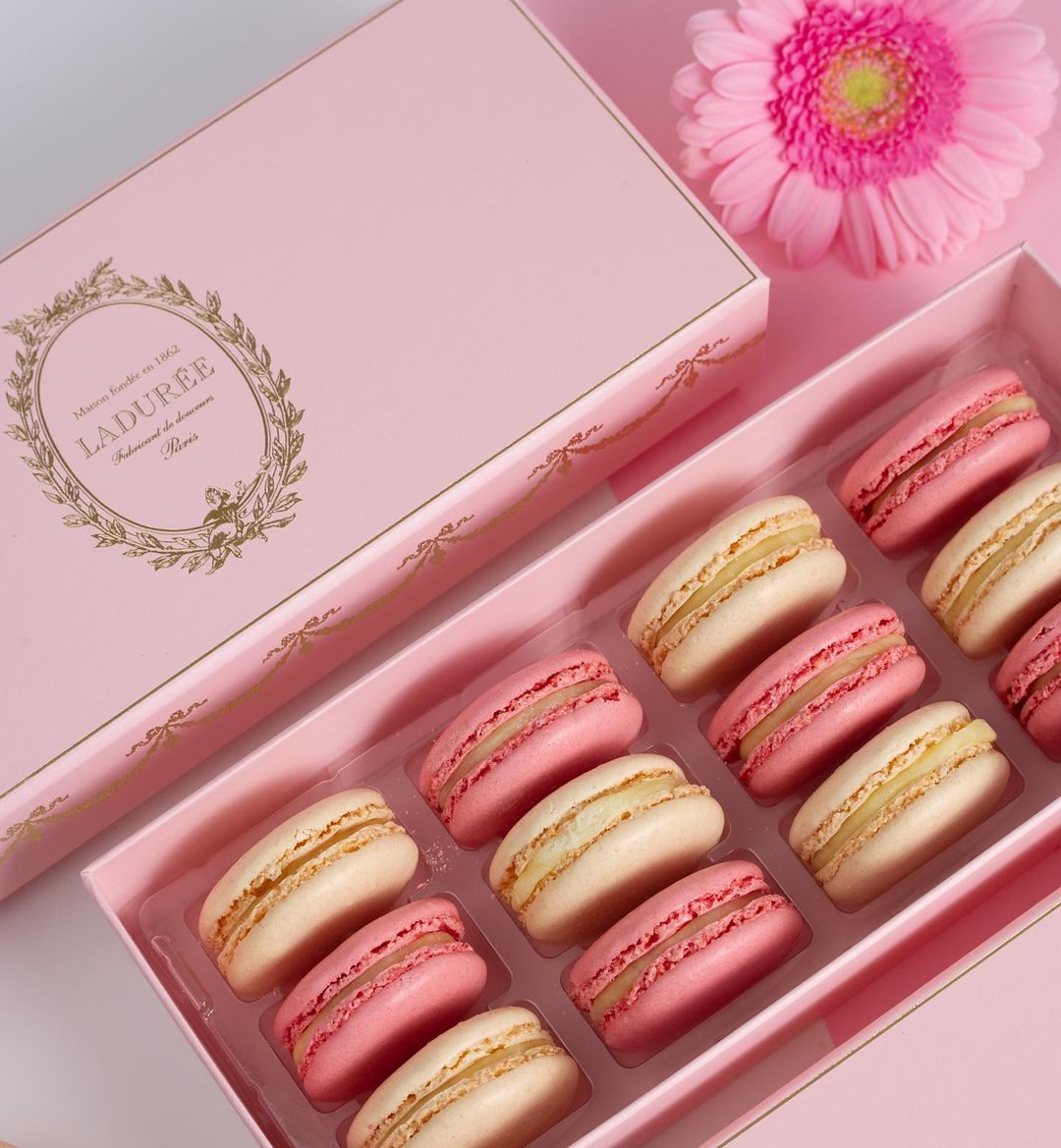 Pastel coloured macarons in pink box with a flower