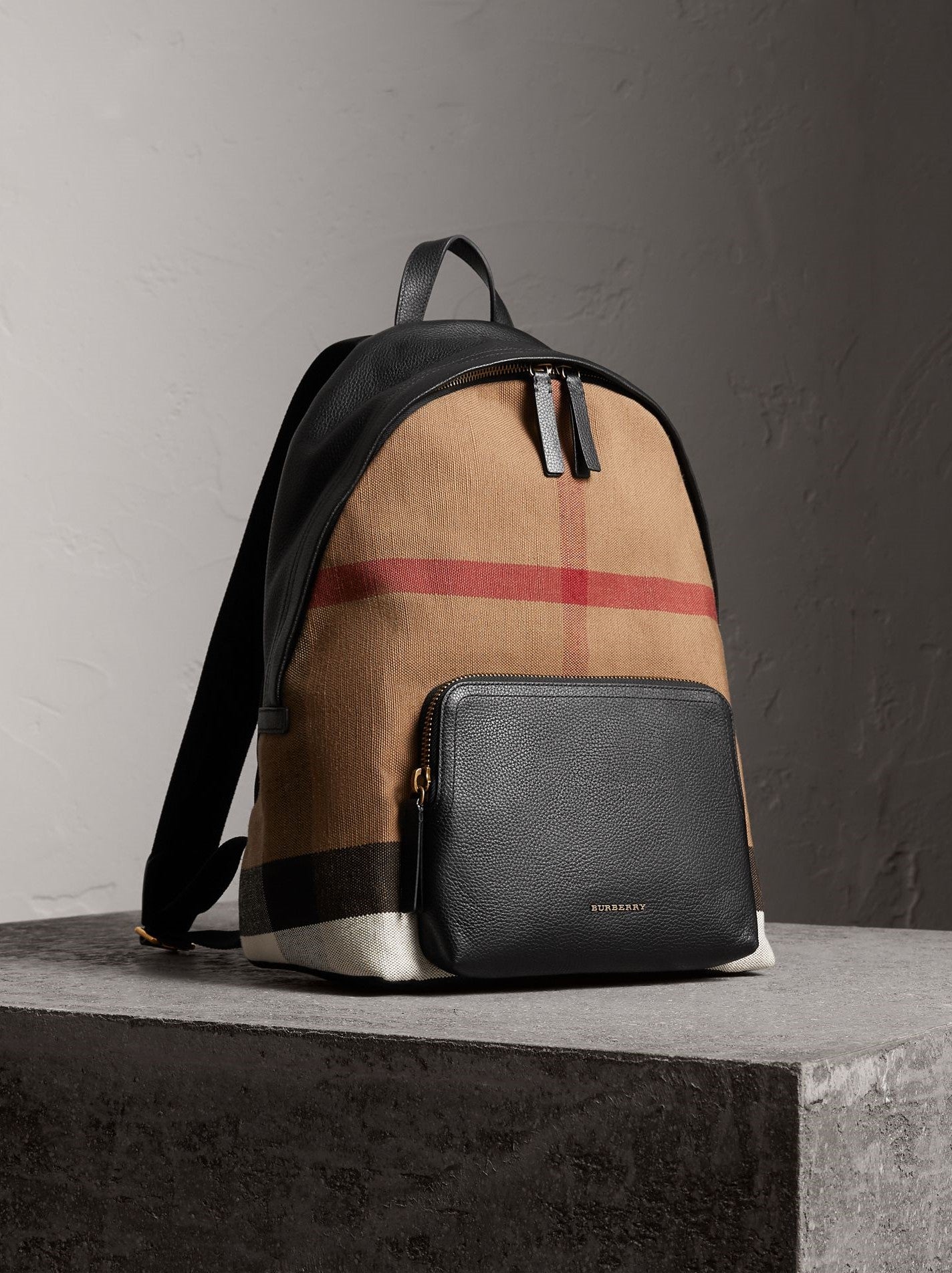 image of a burberry backpack
