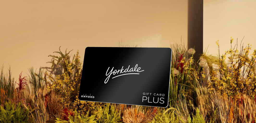 promotional image of a black yorkdale gift floating atop a fall foliage